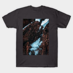 Snowy Husk T-Shirt